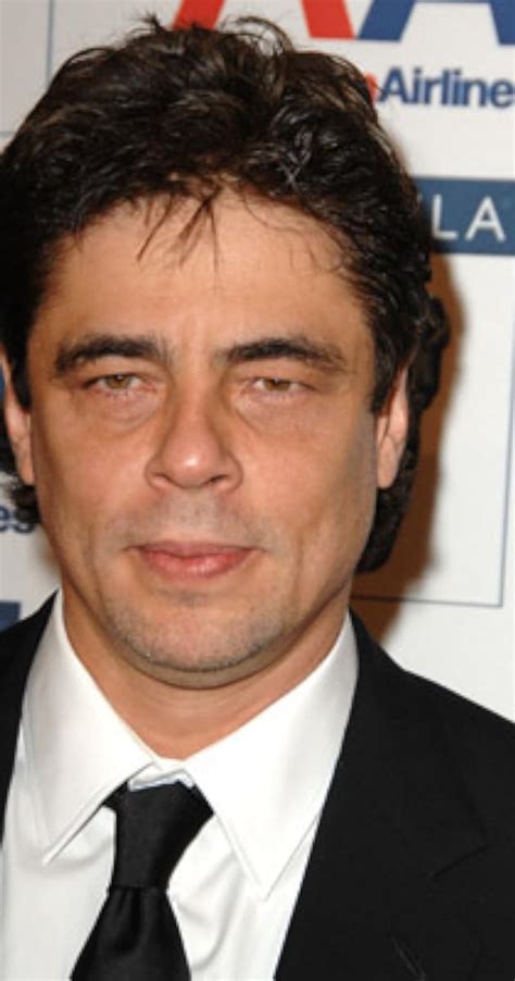benicio del toro imdb|benicio del toro personal life.